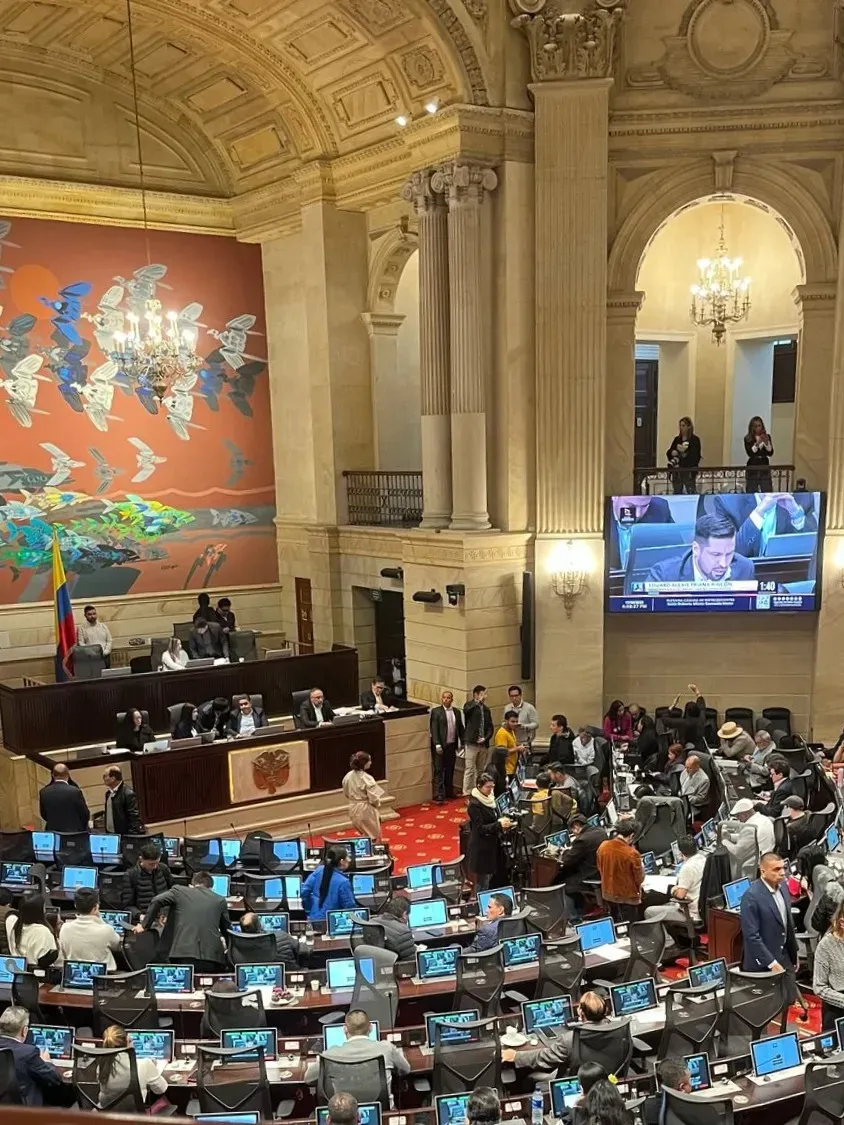 Informe Elecciones Legislativas 2026